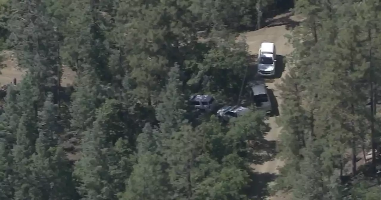 Man killed in 'unprovoked' bear attack near Groom Creek in Prescott