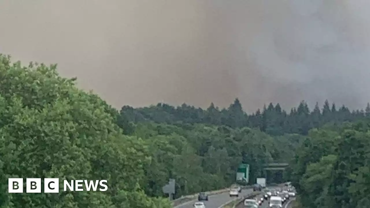 Crews battle forest blaze on MoD firing range in Hampshire