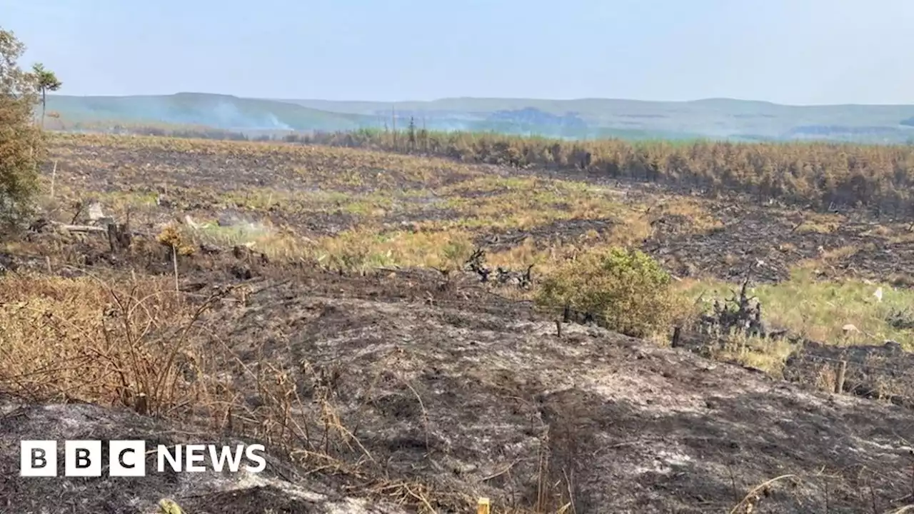 Gorse fire: Firefighters scale down wildfire response