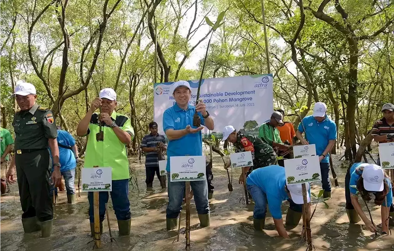 Peduli Bumi, 5.000 Bibit Mangrove Ditanam di Ekowisata Wonorejo Surabaya