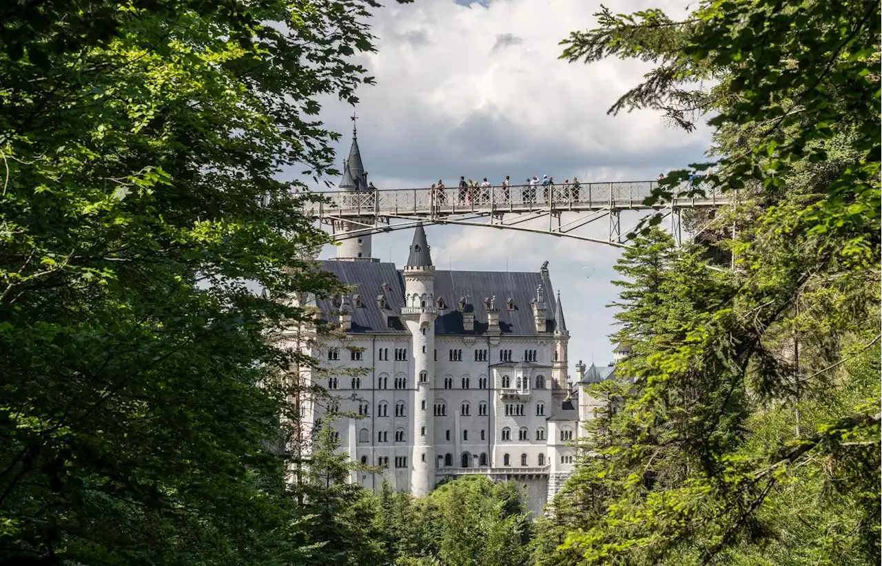 BR24live: Gewalttat Neuschwanstein - Stand der Ermittlungen