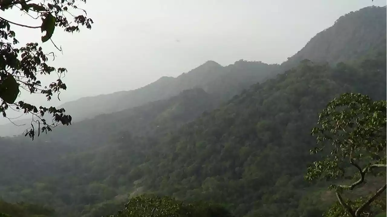 Ya hay fecha para diálogos entre el Gobierno y las Autodefensas de la Sierra Nevada