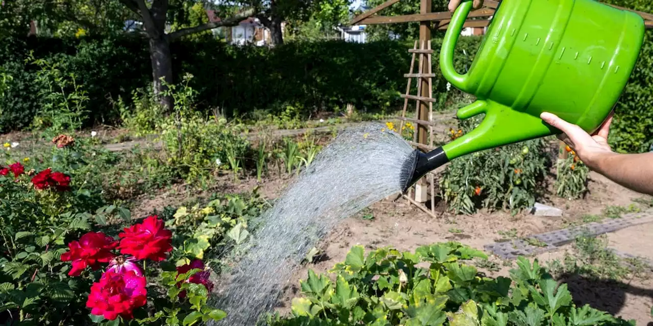 Wassermangel in Deutschland: Diese Maßnahmen kommen im Sommer auf Sie zu