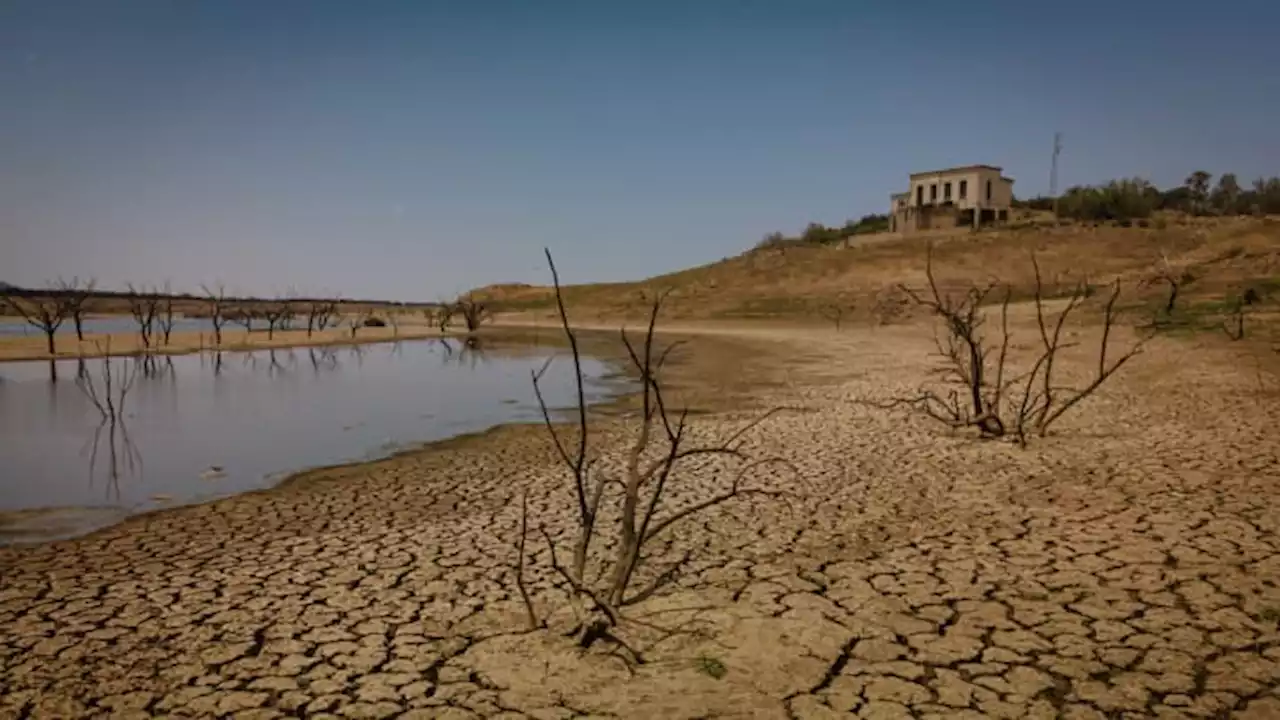 'A war for water': Europe sounds the alarm on water stress ahead of another extreme summer