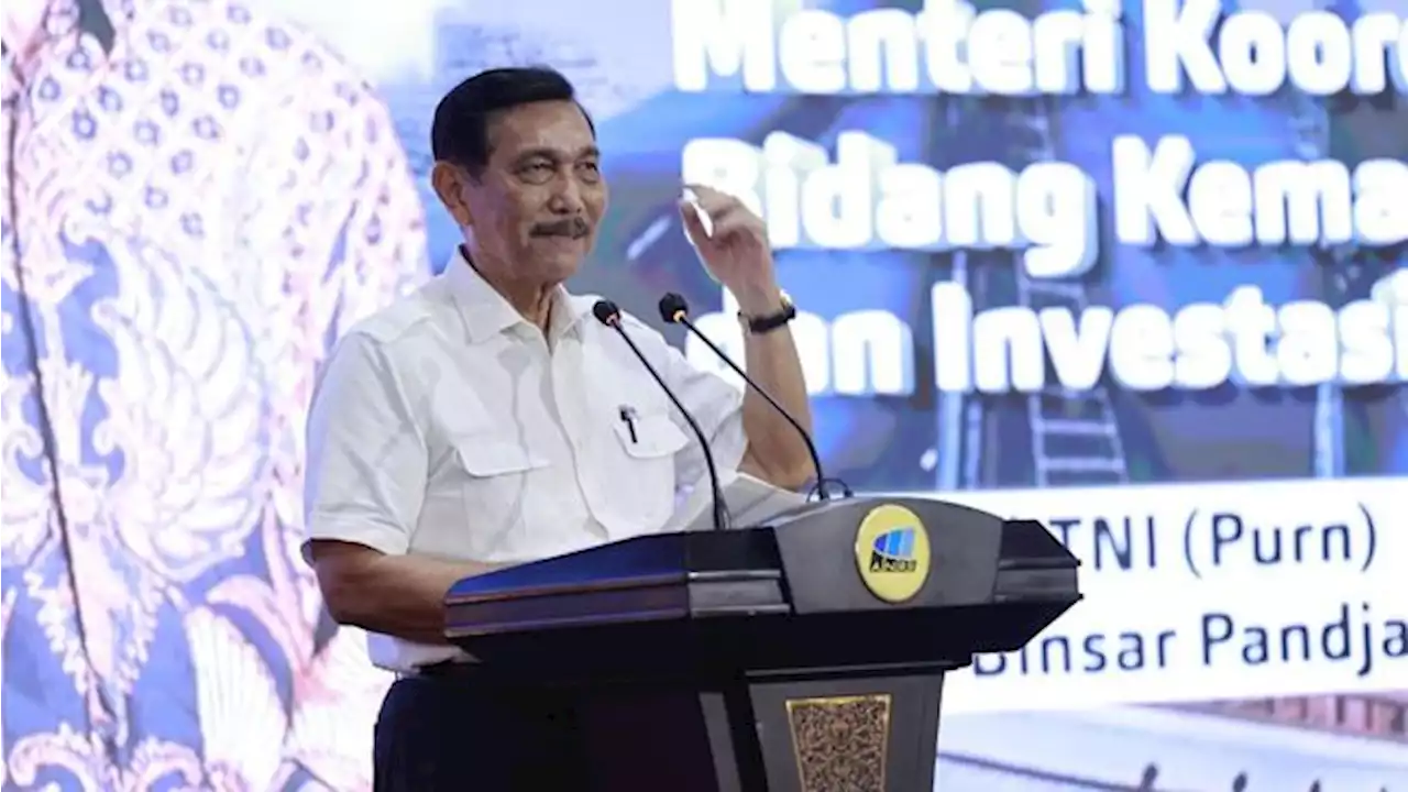 Luhut Geram Sampai Keceplosan, Ungkap Kata Ini ke WTO..