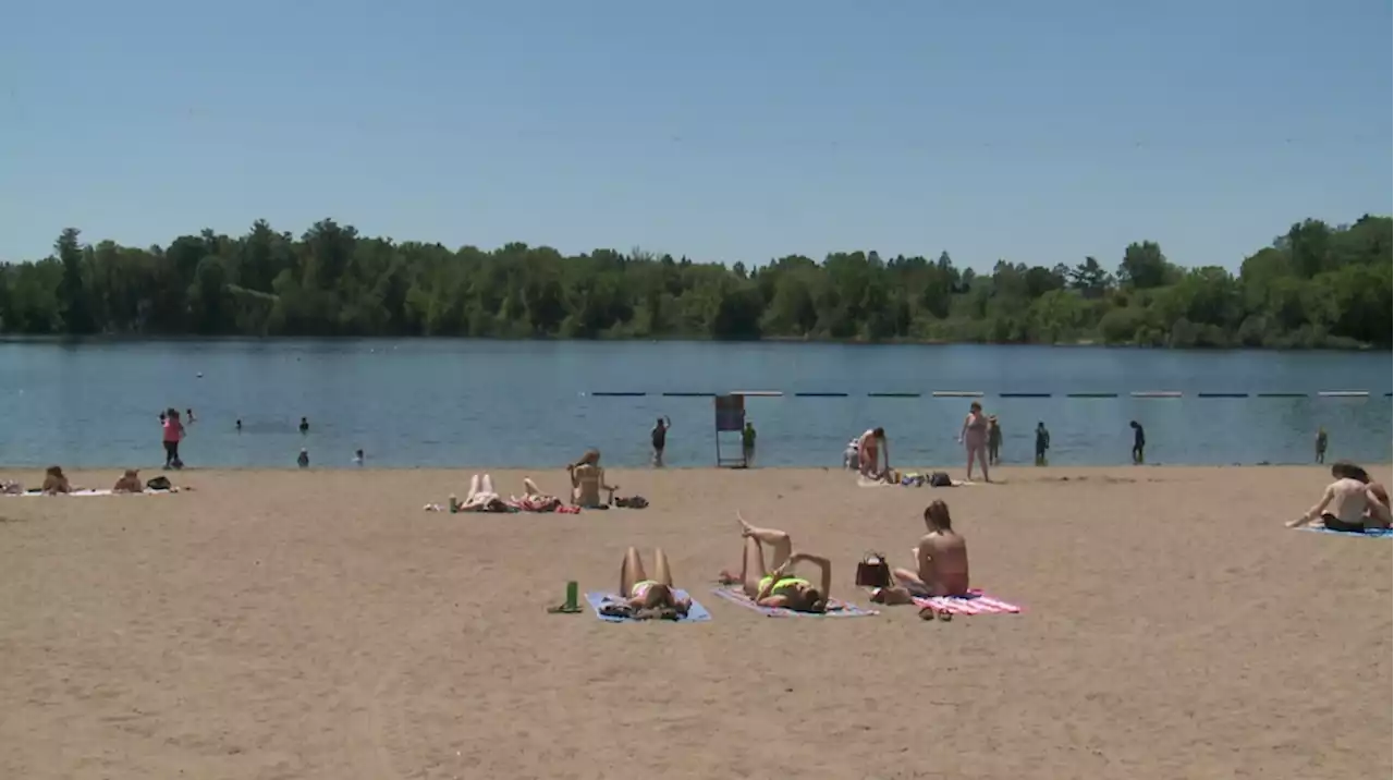 Beach season begins! Beaches in Ottawa and Gatineau open for the summer this weekend