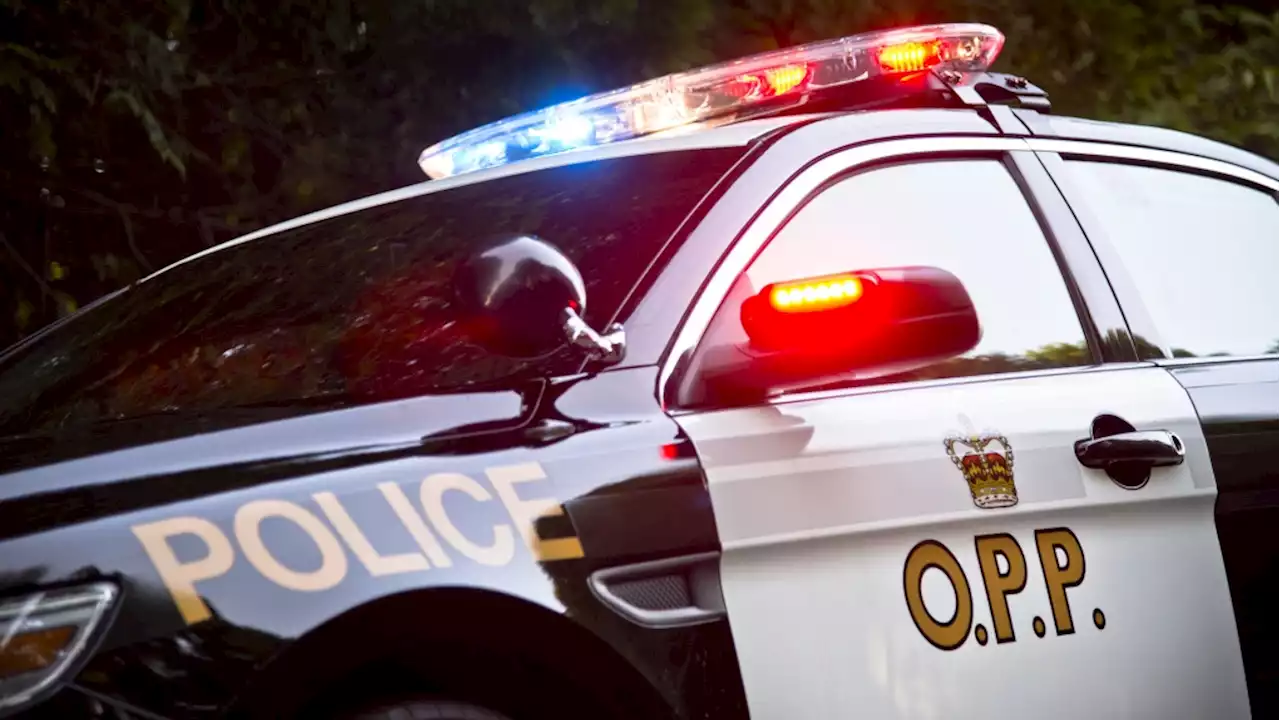 Ontario police warn car crashes taking 'heavy toll on human life'