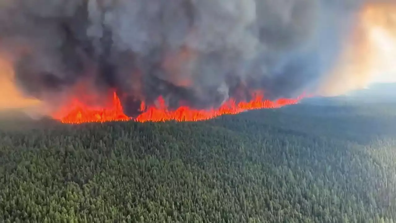 Extreme Waldbrände und die Klimakrise: Kanadisches Inferno