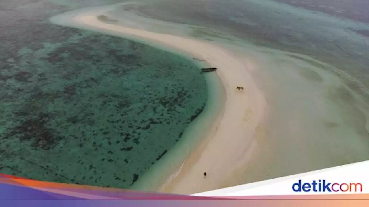 Pakar: Sedimentasi Laut Perlu Dikeruk agar Tak Ganggu Pelayaran