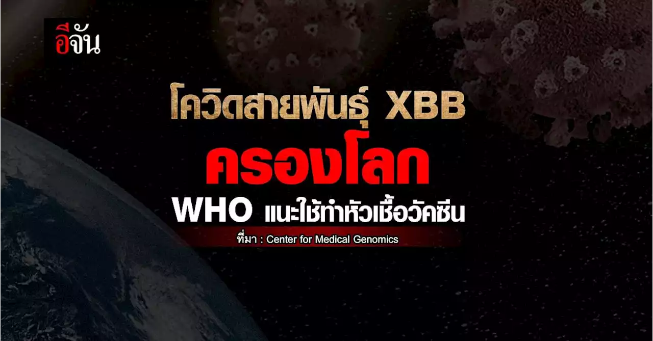 สู้กันต่อ! โควิดสายพันธุ์ XBB ครองโลก WHO แนะใช้ทำหัวเชื้อวัคซีน