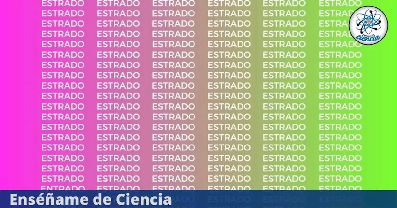 Acertijo visual DIFÍCIL de resolver: Descubre cuál es la palabra DISTINTA en tan solo 5 segundos