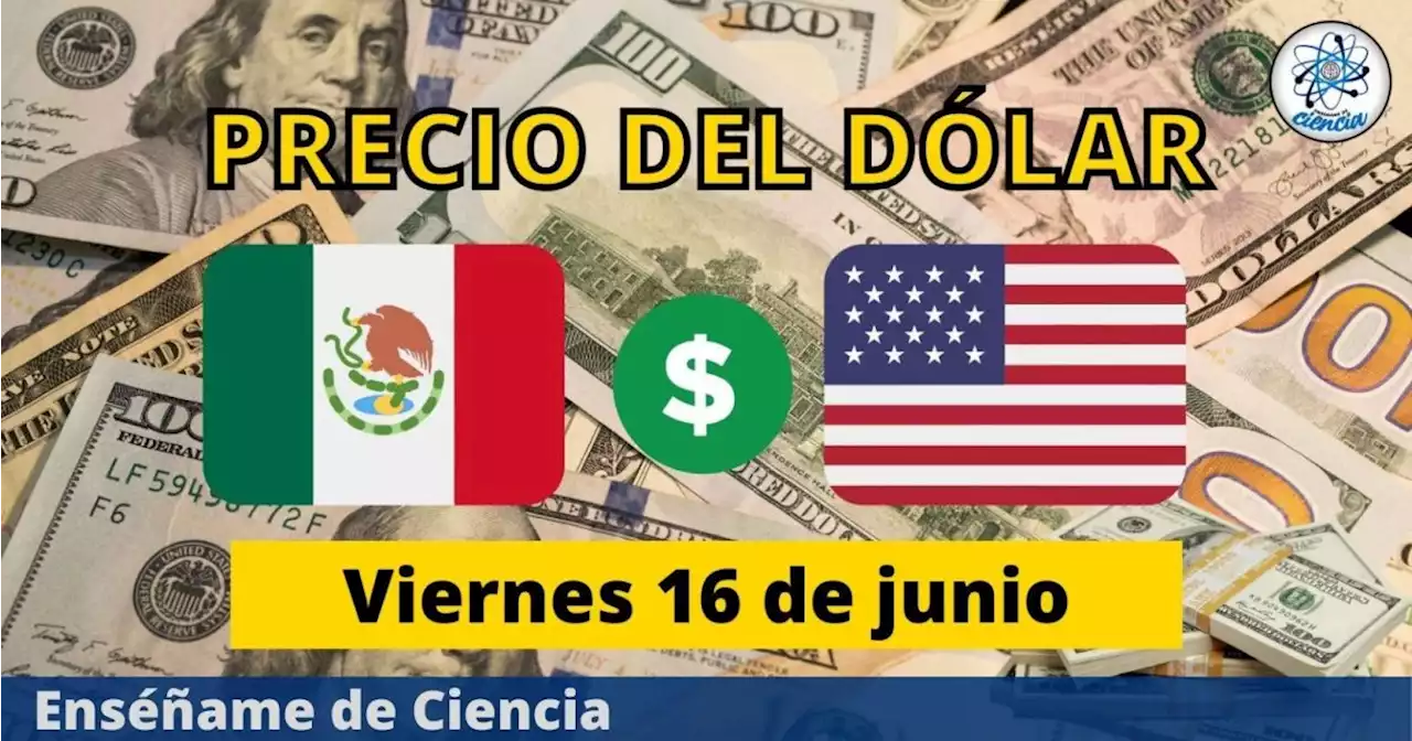 Precio del dólar hoy viernes 16 de junio, ¿cómo amaneció el tipo de cambio en México?