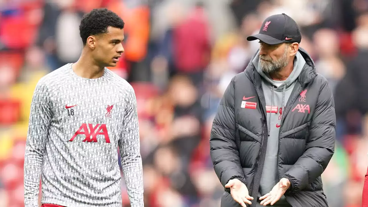 Two Liverpool transfers sum up problems of a mid-table team which wishes it could be like Brighton