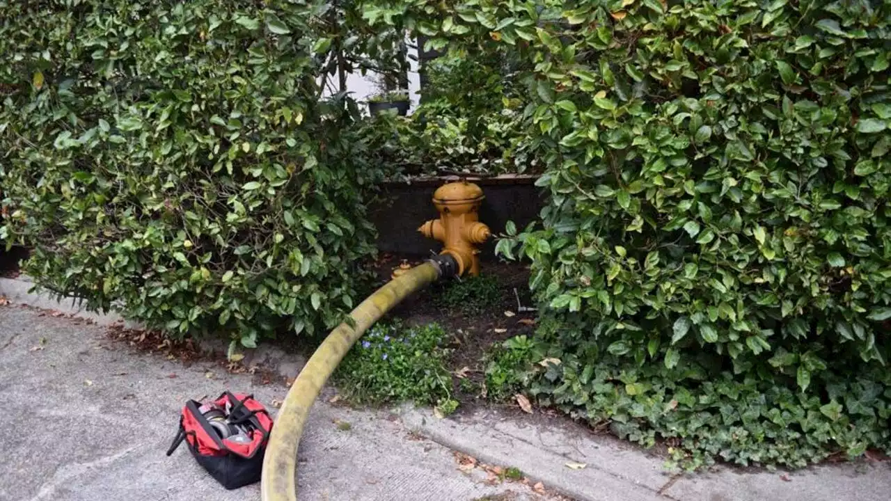 Crews testing fire hydrants throughout Seattle; residents may experience temporary discolored water