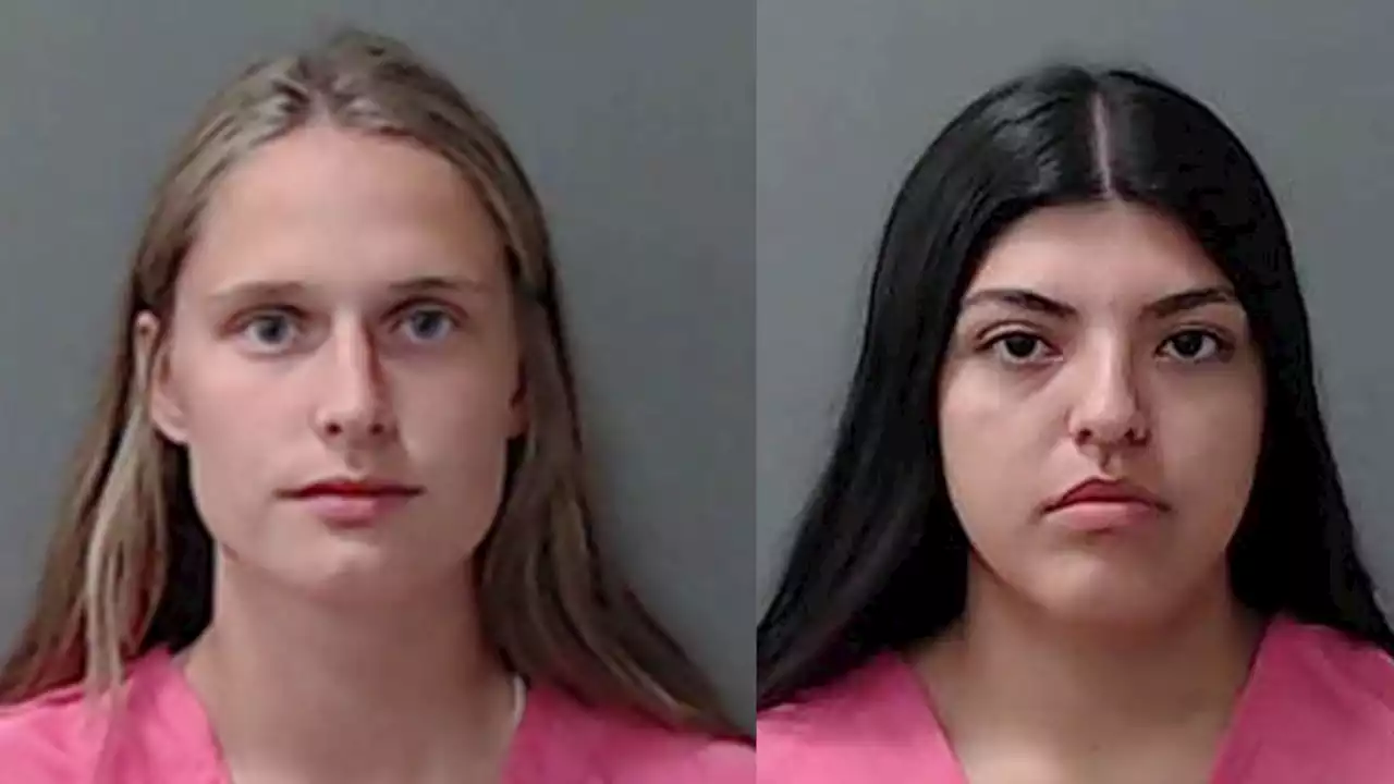 2 women accused of stealing goat, baby bull from Dewberry Farms