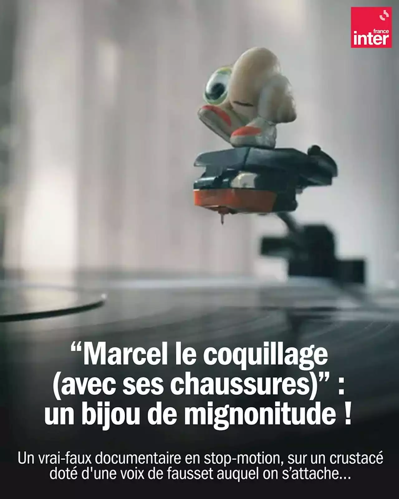 Cinéma : Trois bonnes raisons d’aller voir 'Marcel le coquillage' avec ses chaussures