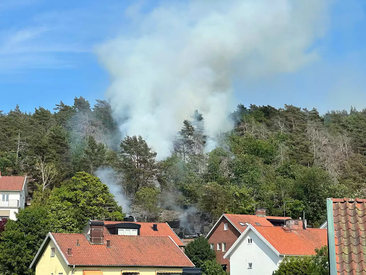 Skogsbrand i Örgryte