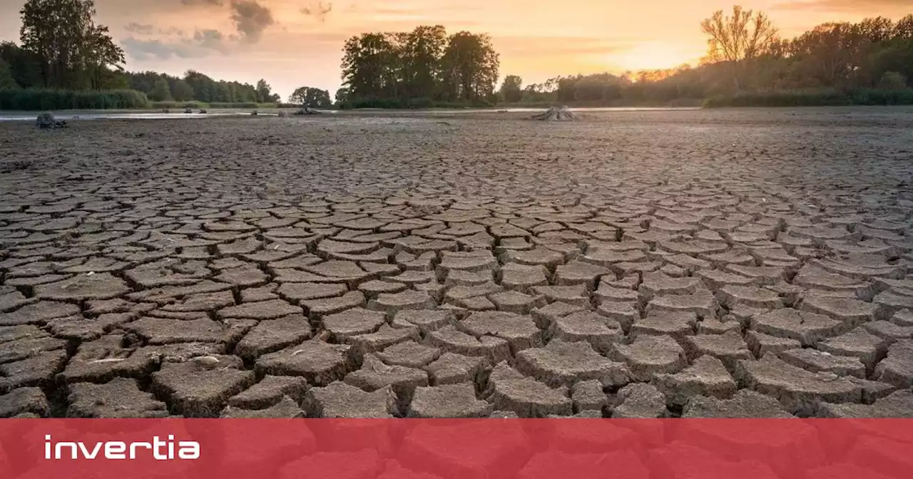 Los seis meses de furia en el agro: la sequía y lluvia se traducirán en 400M€ en indemnizaciones