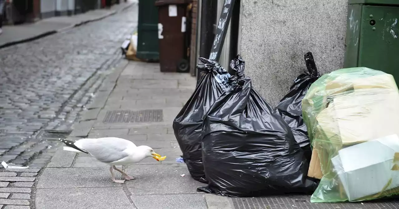 Una Mullally: Dublin is a dirty, smelly, sticky old town once again