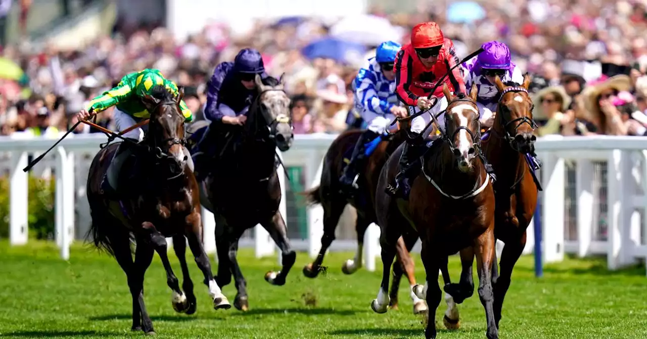 Jockeys need to take more of a lead restoring credibility to interference rules