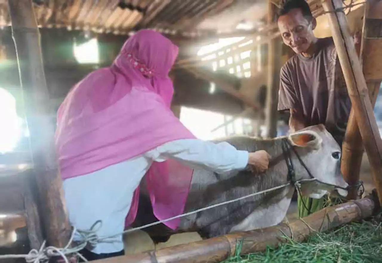 Ribuan Hewan Ternak di Kota Pasuruan Sudah Divaksin