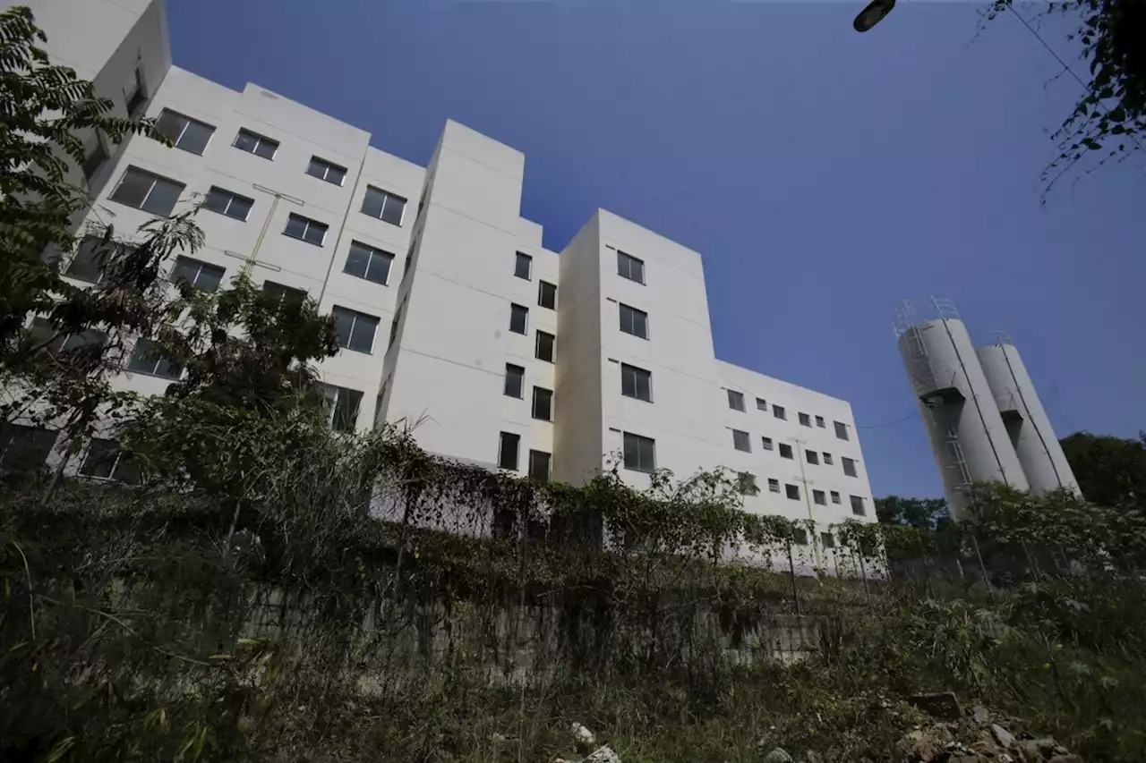 Casa própria perde espaço no Brasil: aluguel já reponde por um quinto das moradias no país