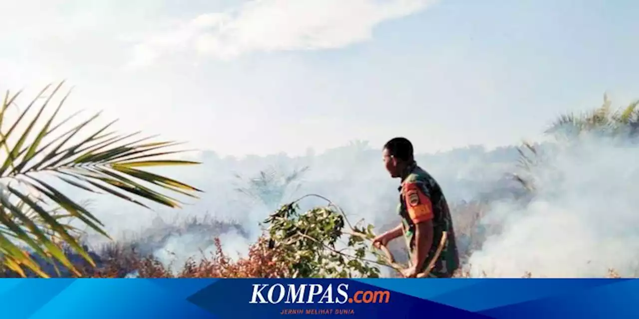 Lahan Gambut di Rokan Hulu Riau Terbakar, Petugas Tempuh 70 Km Padamkan Api