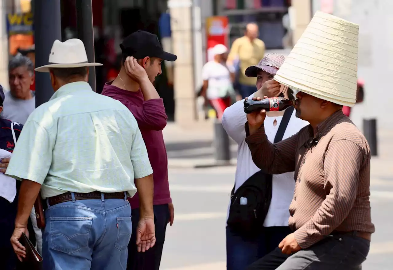 La Jornada: Aumentó 1.5 grados la temperatura media global