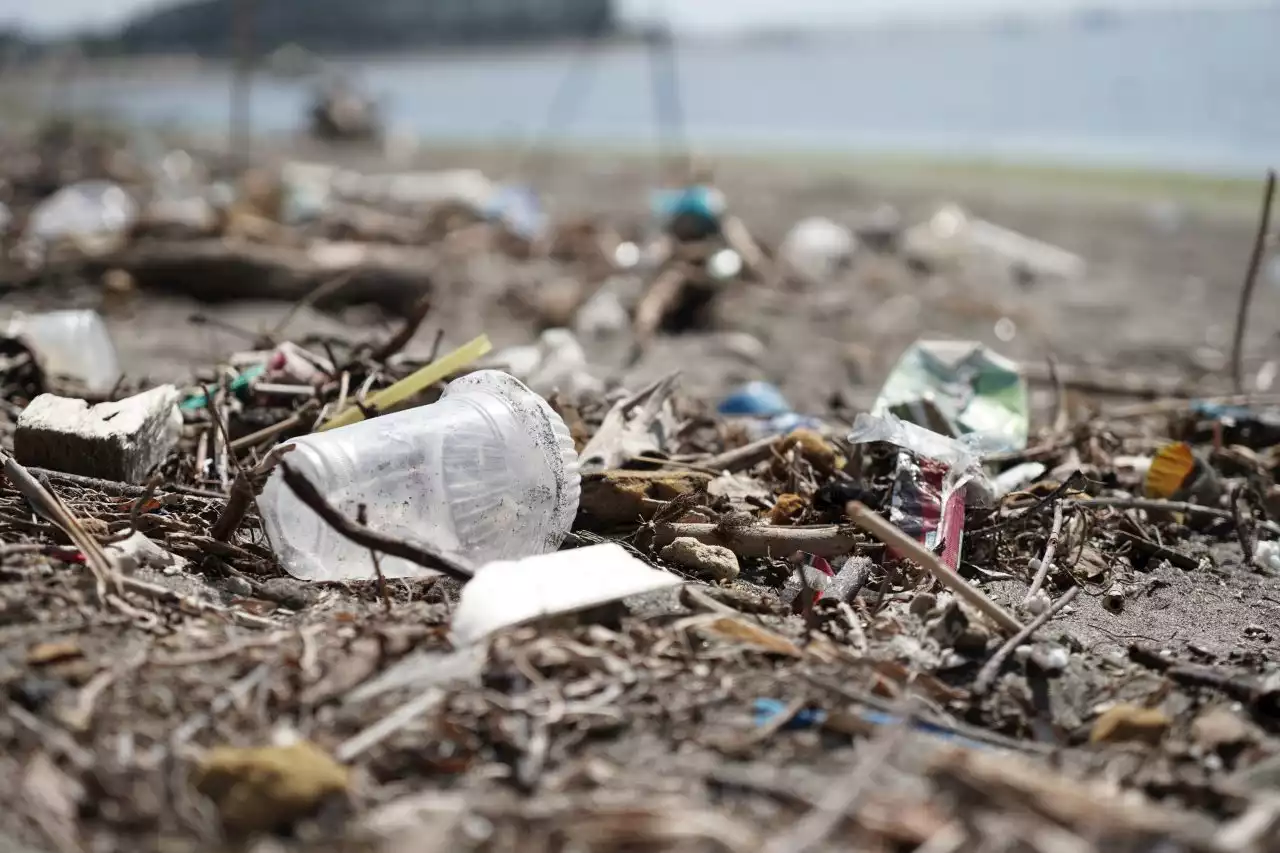 Waste in Italy | Non basterà il riciclo per mantenere il primato italiano nell’ecosostenibilità - Linkiesta.it