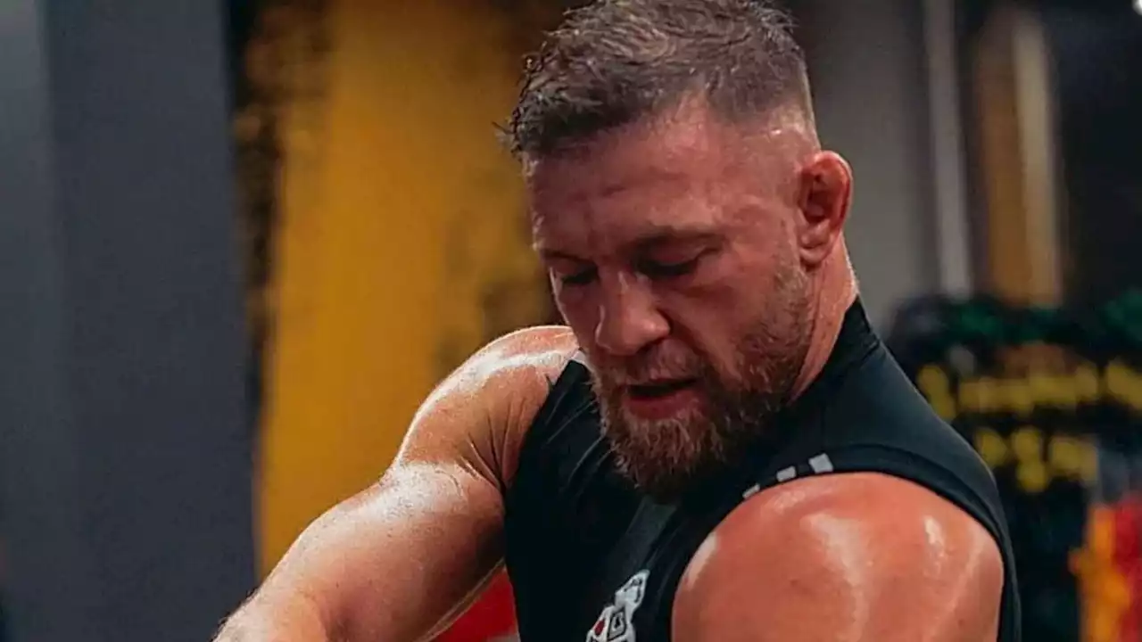 Conor McGregor, star du MMA, est accusé d'agression sexuelle - Madmoizelle