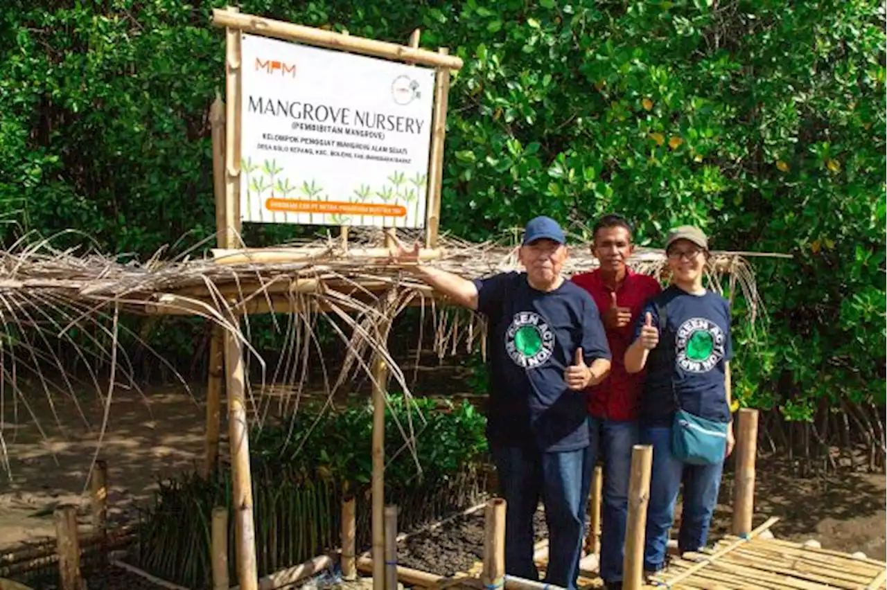 MPMX Lanjutkan Rehabilitate Mangriove di Golo Sepang NTT, Tambah 2 Hektar Lahn dan 20 Ribu Bibit Mangrove