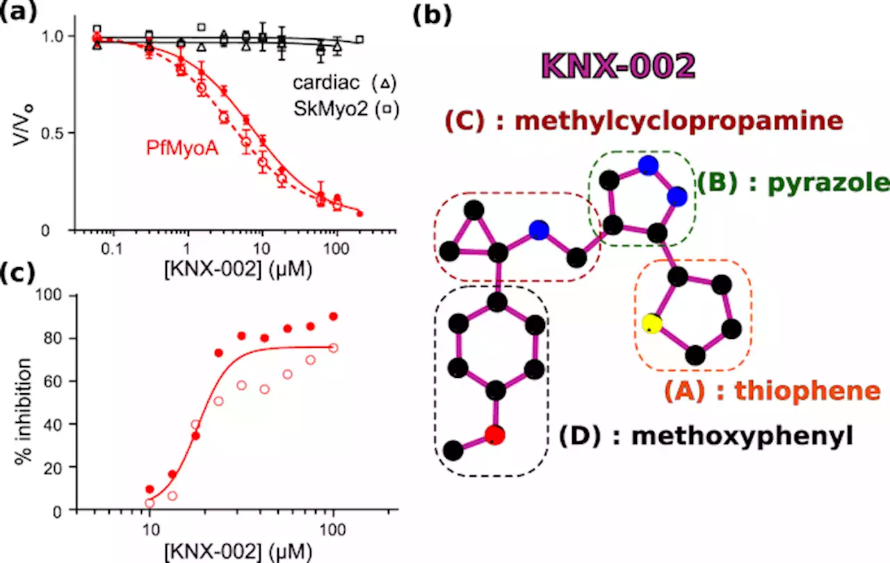 Mechanism of small molecule inhibition of Plasmodium falciparum myosin A informs antimalarial drug design - Nature Communications