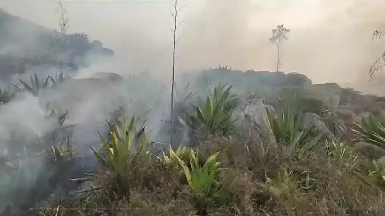 Registran fuerte incendio forestal en Mondoñedo