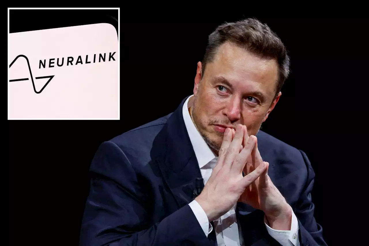 Elon Musk’s brain chip start-up Neuralink will begin human trials this year