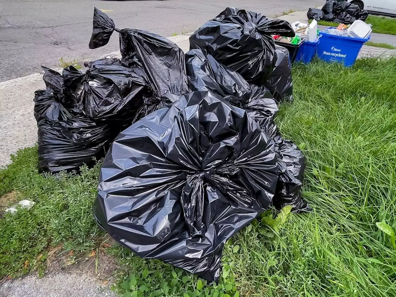 BAG TAGS: Council's 'three-bag' garbage plan amounts to a lack of leadership