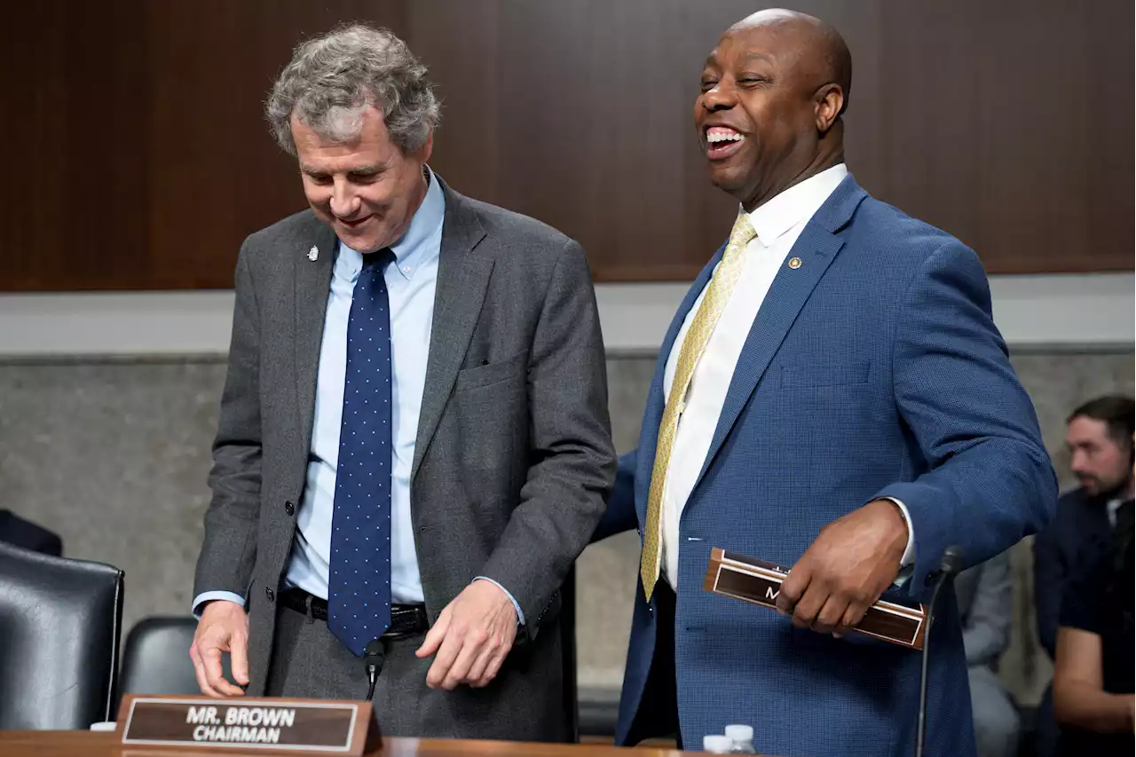 Sherrod Brown, Tim Scott float tougher bank CEO penalties after Warren rift