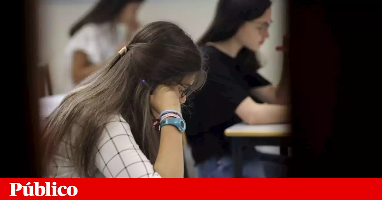 O ranking, disciplina a disciplina. Que escolas sobressaem?