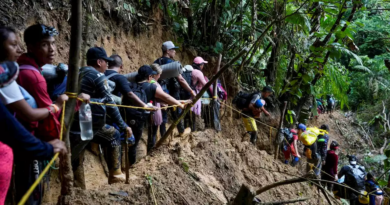 Mientras migrantes mueren en la selva, agencia alemana vende el Tapón del Darién como plan turístico