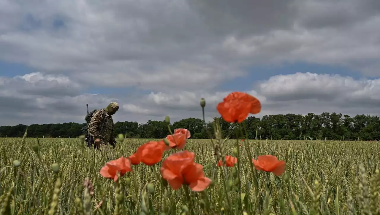 Ucraina, aspettano per ore il comandante sull'attenti: il massacro dei soldati russi