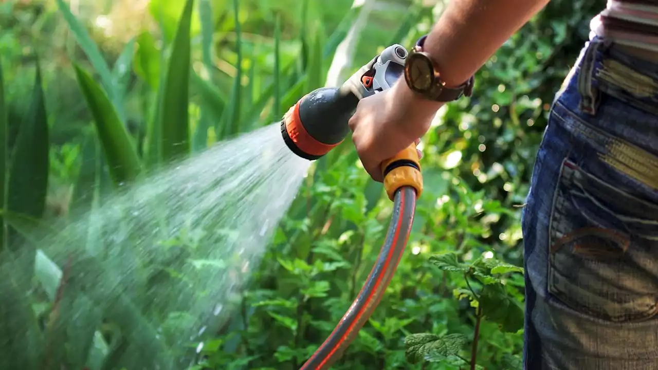 Hosepipe ban to be introduced in Kent and Sussex