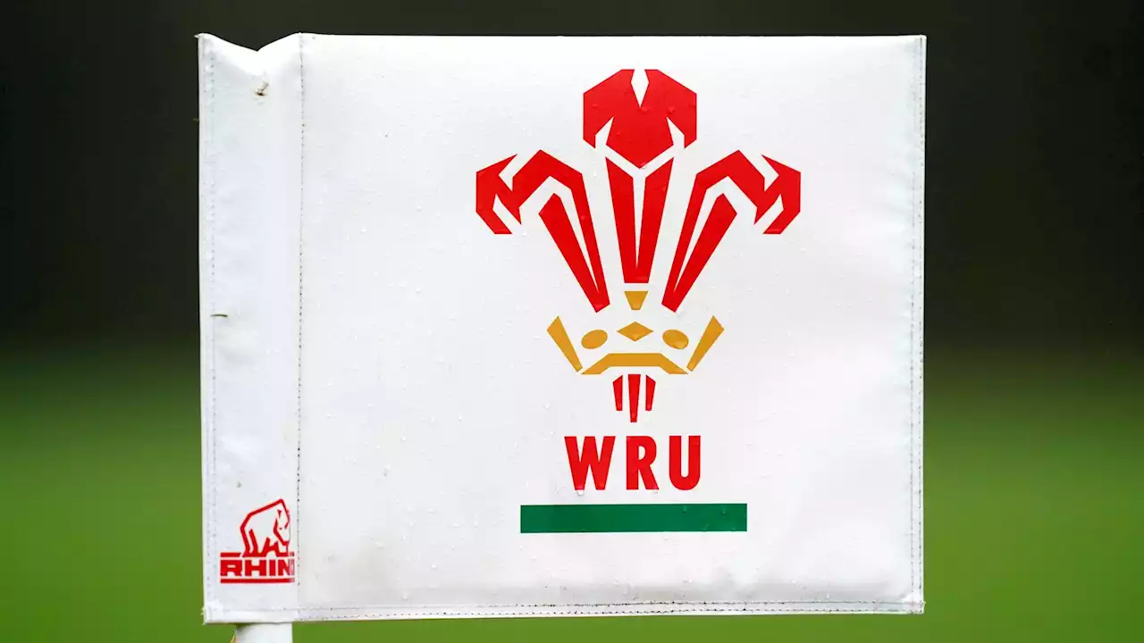 Welsh Rugby Union accused of 'systemic failures' after investigation into racism, sexism and homophobia claims