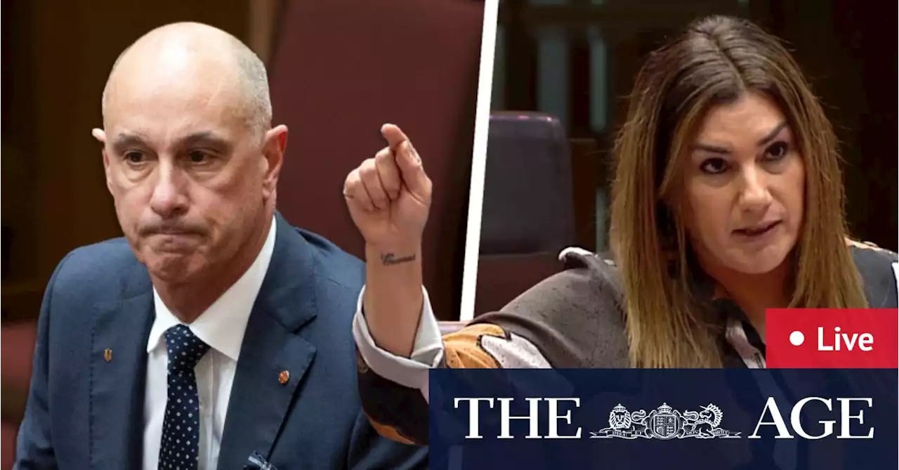 Australia news LIVE: Further allegations made against David Van as Lidia Thorpe says parliament has a ‘toxic workplace culture toward women’