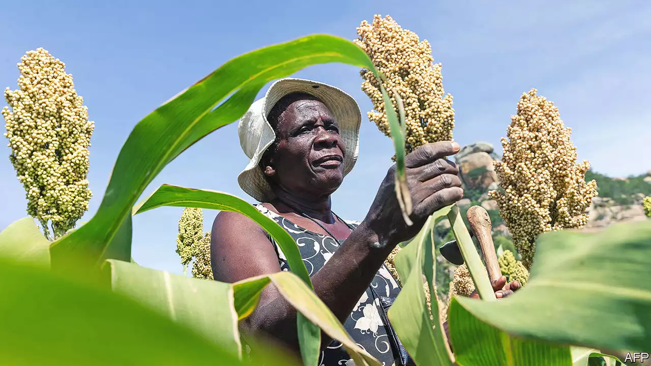 Rural Africans are finding work beyond their farms