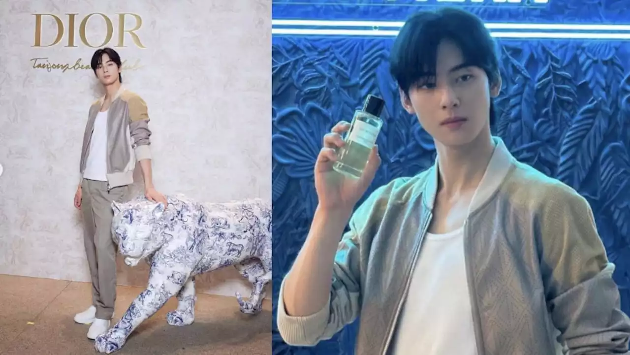 Here’s what went down when Cha Eun Woo visited Sentosa’s Tanjong Beach Club for a Dior event