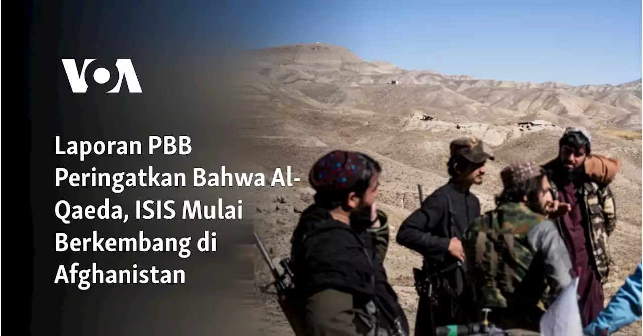 Laporan PBB Peringatkan Bahwa Al-Qaeda, ISIS Mulai Berkembang di Afghanistan