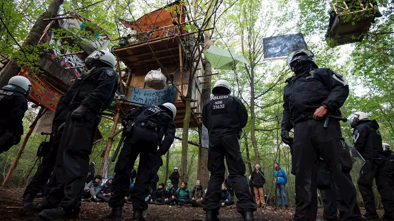 OVG weist Klage wegen Baumhaus-Räumung im Hambacher Forst ab