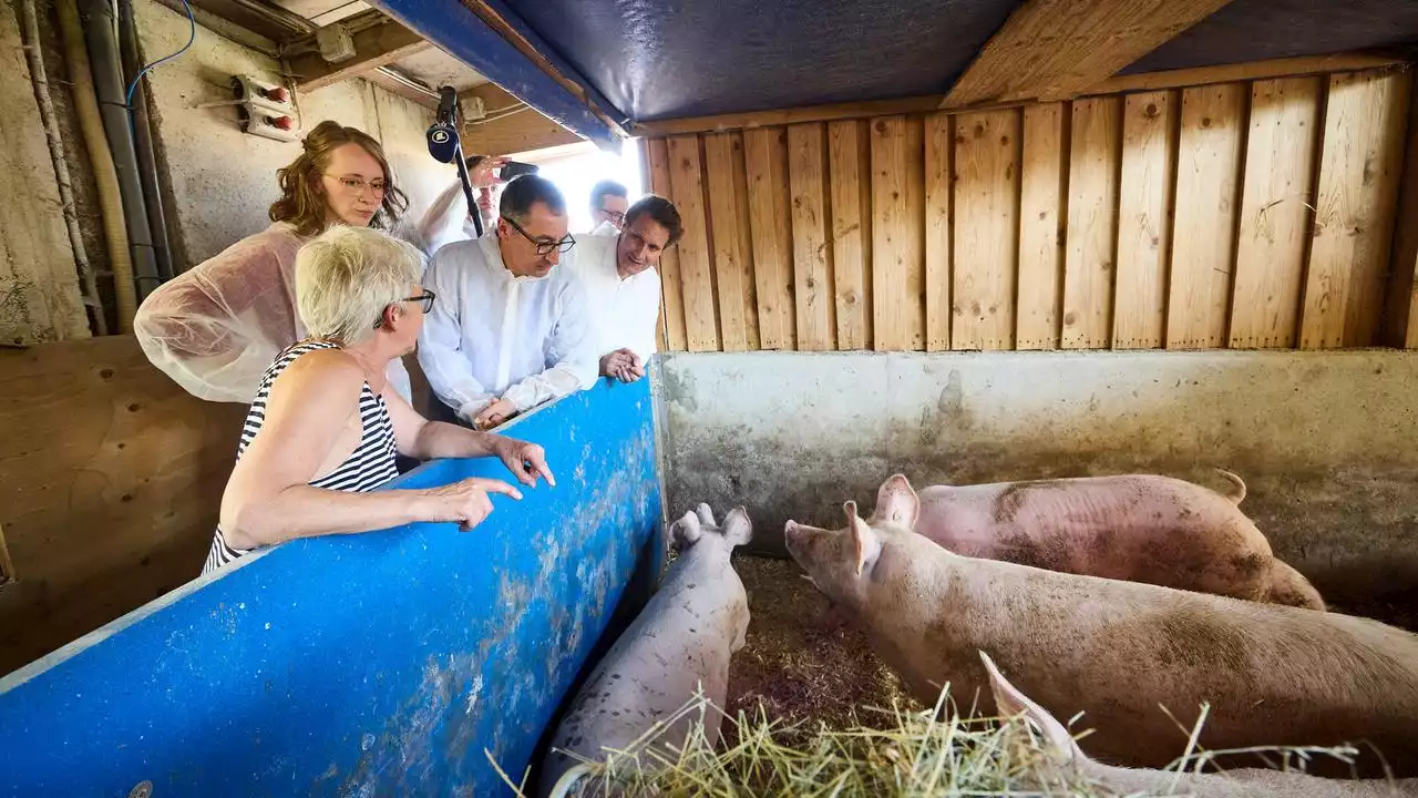 Schweinefleisch-Gesetz: Özdemirs Etikettenschwindel?