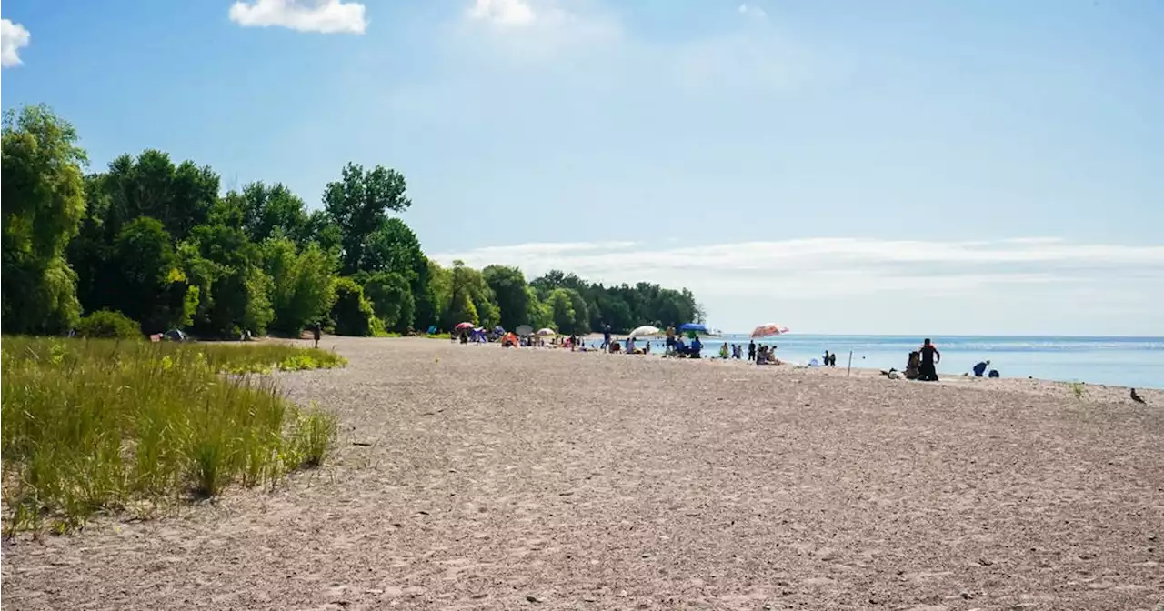 This park near Toronto has a golden sand beach perfect for swimming