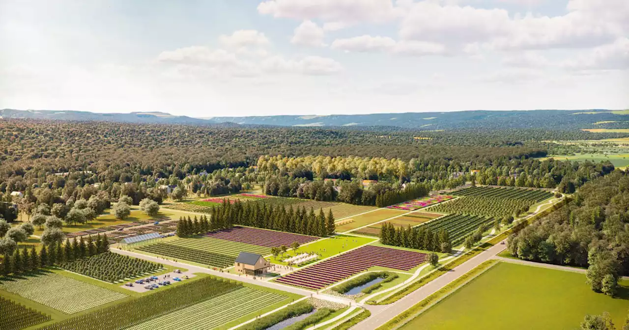 Toronto developer is planning Ontario's first farm that's just like a condo