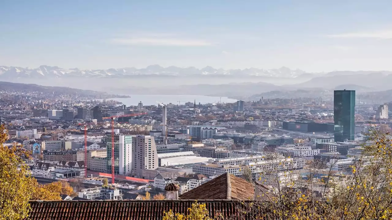 Verwaltungsräte in der Schweiz: Immer jünger - und immer mehr aus dem Ausland